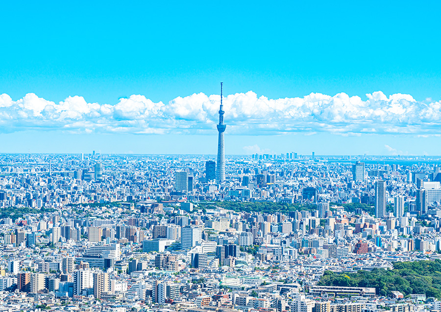 Tokyo cityscape with Tokyo Skytree under a bright sky